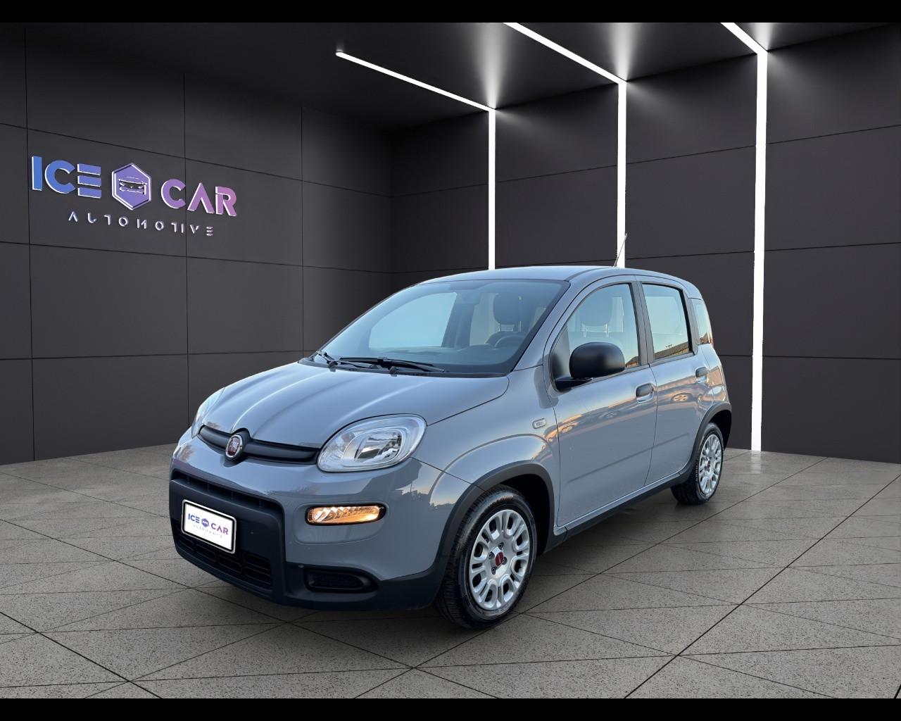 FIAT Panda 3ª serie - Panda 1.0 FireFly S&S Hybrid