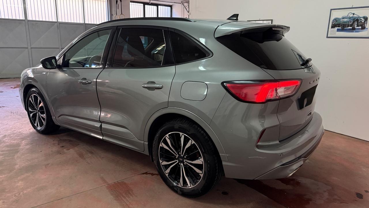 Ford Kuga 2.0 EcoBlue Hybrid 150 CV 2WD St Line X