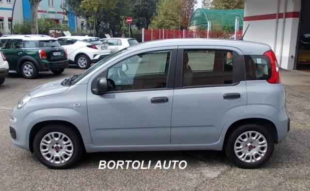 FIAT Panda 1.2 35.000 KM EASY IDONEA PER NEOPATENTATI