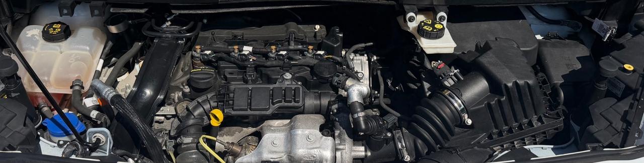 Ford Transit Connect 1.5 Diesel Active 120 Cv