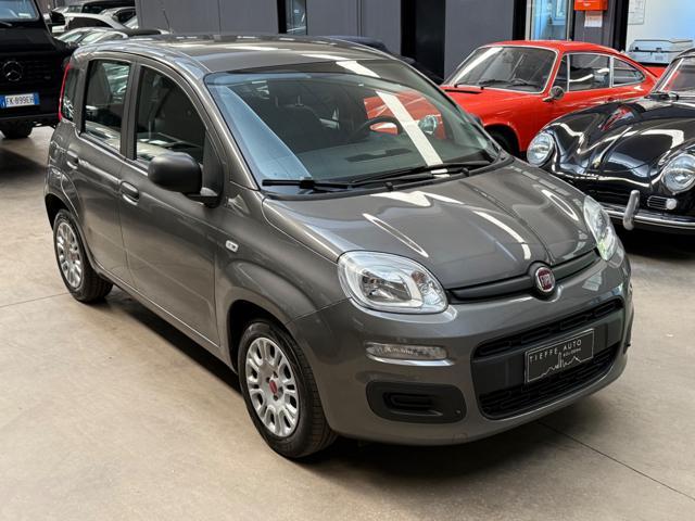 FIAT Panda 1.0 FireFly S&S Hybrid *NO OBBLIGO FINANZIAMENTO*