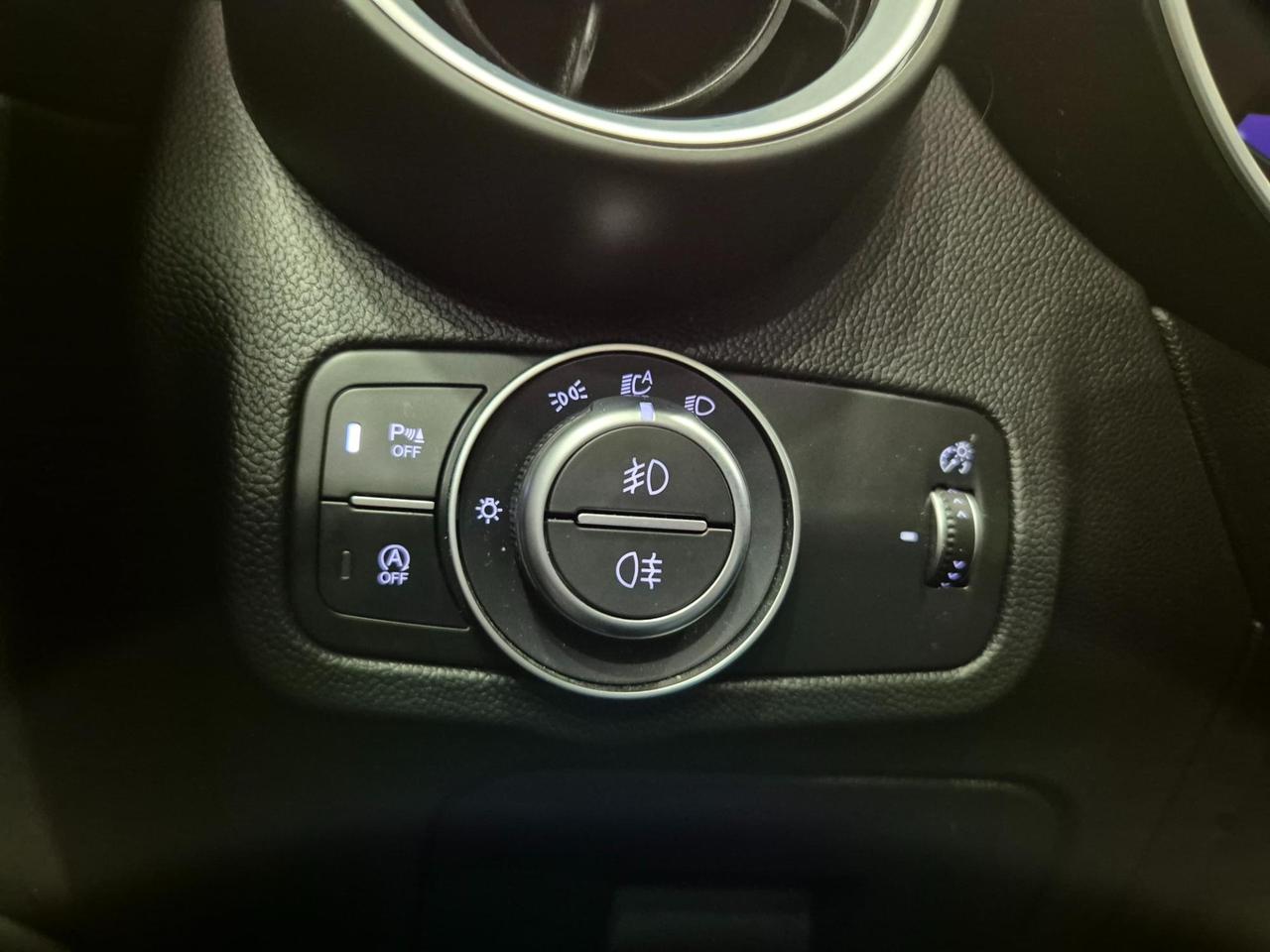 Alfa Romeo Stelvio 2.2 Tdi Business 160cv auto N1 - PER COMMERCIANTI