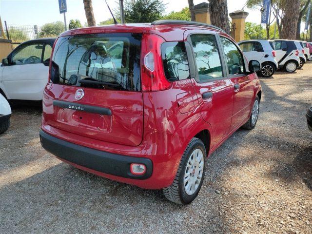 FIAT Panda 1.2 Easy 69cv CLIMA MANUALE OK NEOPATENTATI ..