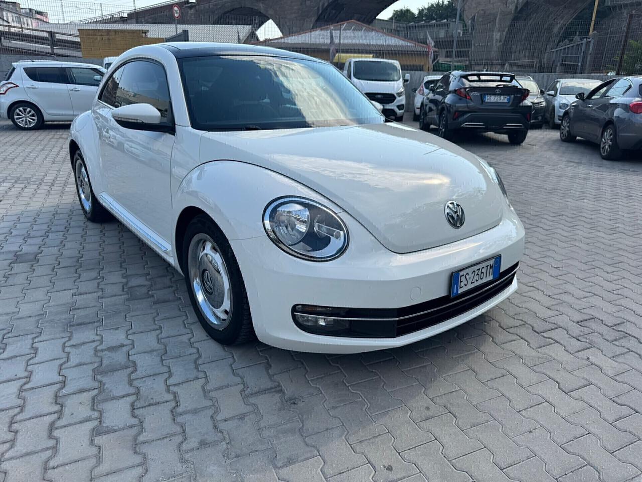 VW MAGGIOLINO 1.6 TDI 105 CV