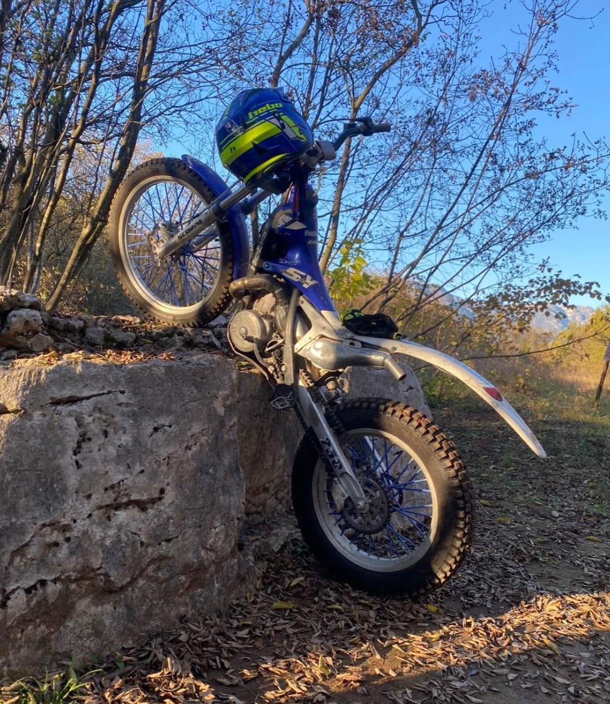 TRIAL SCORPA 250 SY