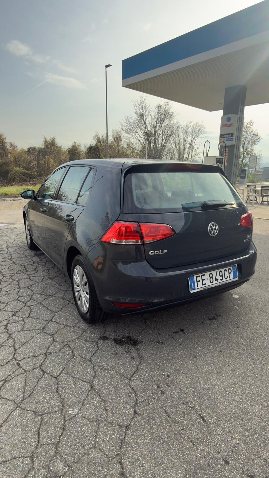 Volkswagen Golf 1.4 TGI 5p. Trendline BlueMotion