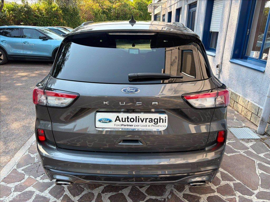 FORD Kuga 1.5 ecoblue ST-Line X 2wd 120cv auto del 2023