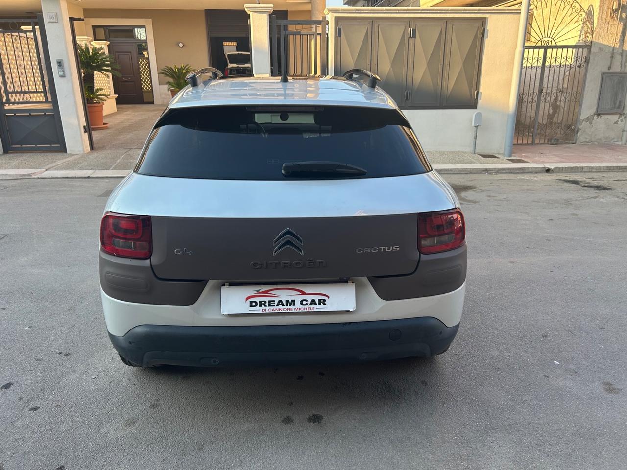 Citroen C4 Cactus BlueHDi 100 Rip Curl