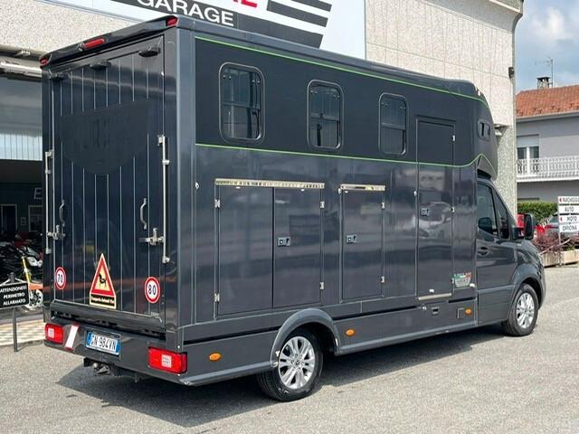 Mercedes-benz Sprinter F43/35 319 CDI RWD TA TRASPORTO CAVALLI 3 POSTI + CUCCIETTA