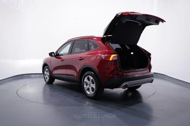 FORD Kuga 1.5 EcoBlue 120 CV 2WD Connect