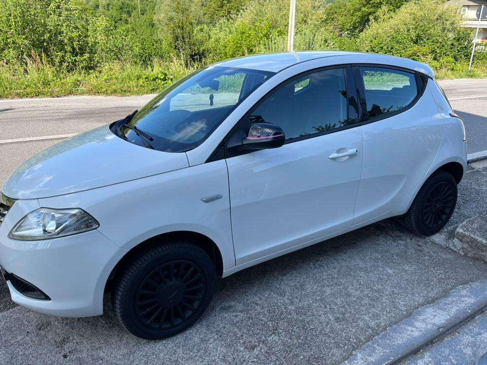 Lancia Ypsilon 0.9 T NATURAL POWER 85CV Ecochic Elefantino