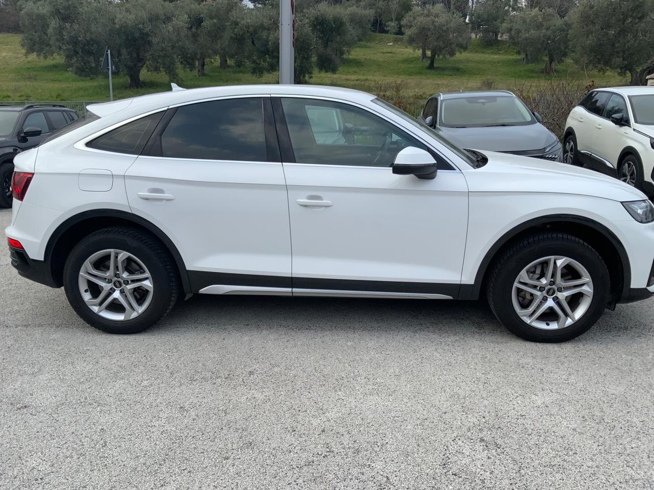 Audi Q5 SPB 40 TDI quattro S tronic Business Advanced