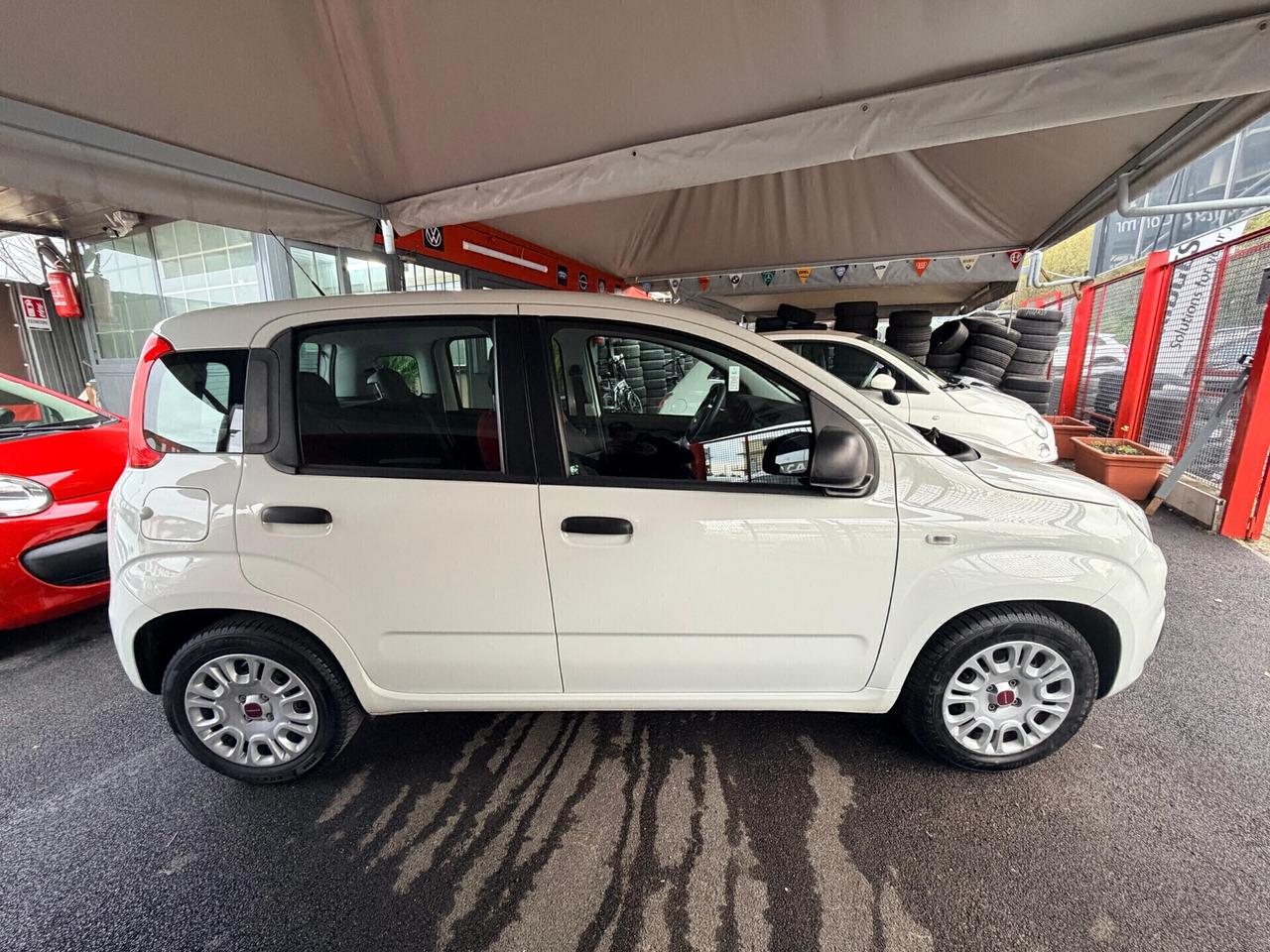 Fiat Panda 1.2 Benzina 2017