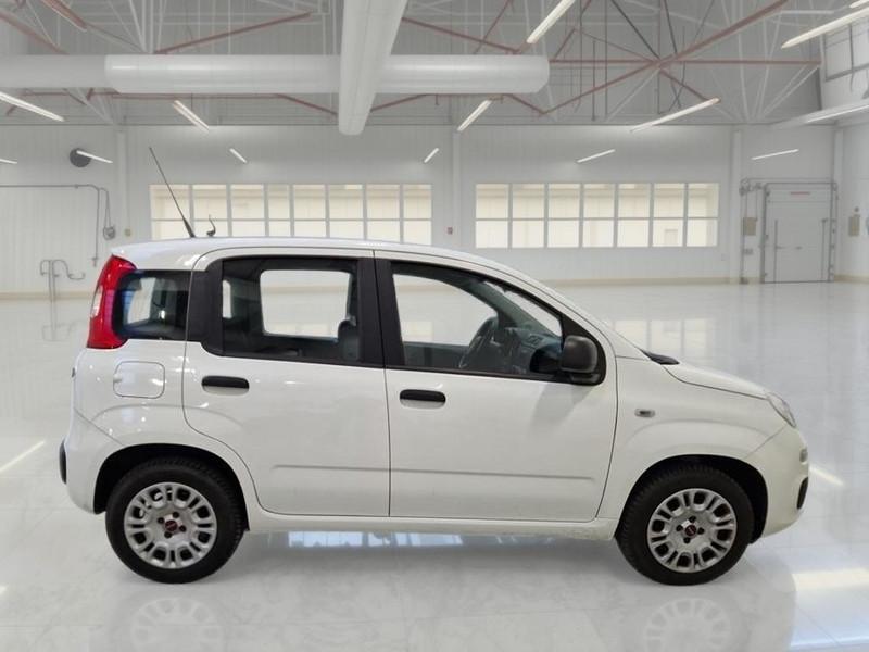 FIAT PANDA 1.2 69 CV SES E6D-TEMP EASY 5 PORTE BERLINA