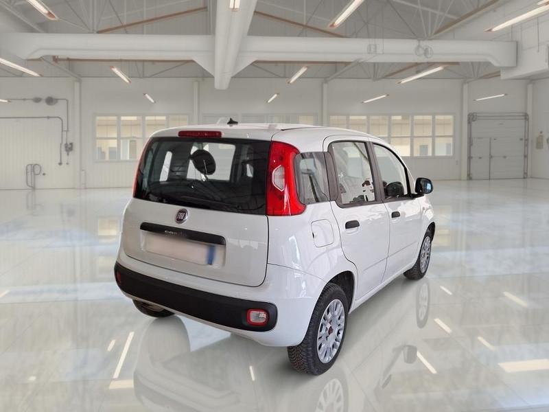 FIAT PANDA 1.2 69 CV SES E6D-TEMP EASY 5 PORTE BERLINA