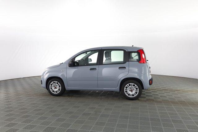 FIAT Panda Panda 1.0 FireFly Hybrid