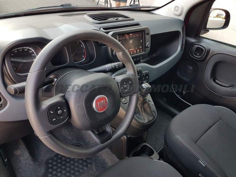 FIAT Panda Cross Panda 1.0 firefly hybrid Cross s&s 70cv 5p.ti