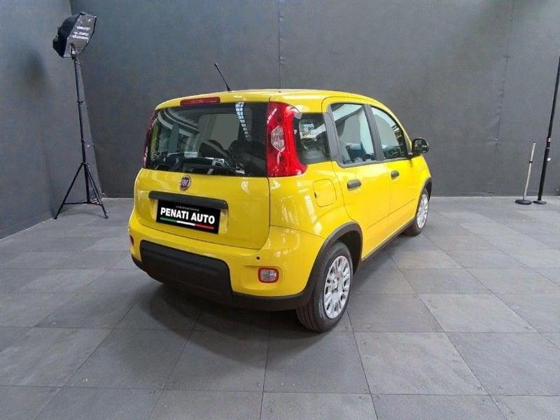 FIAT Panda Panda 1.0 FireFly S&S Hybrid Pop