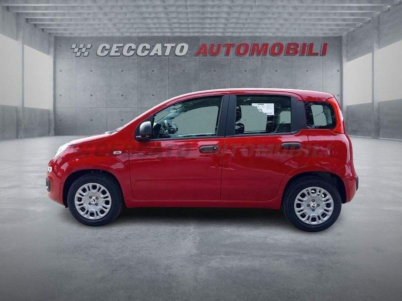 FIAT Panda Panda 1.0 firefly hybrid s&s 70cv