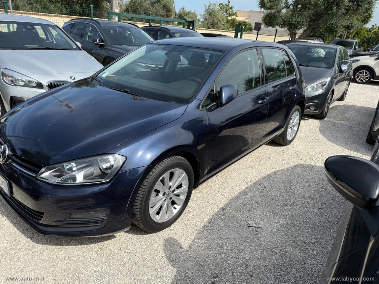 VOLKSWAGEN Golf Business 1.6 TDI 5p. Comfortline
