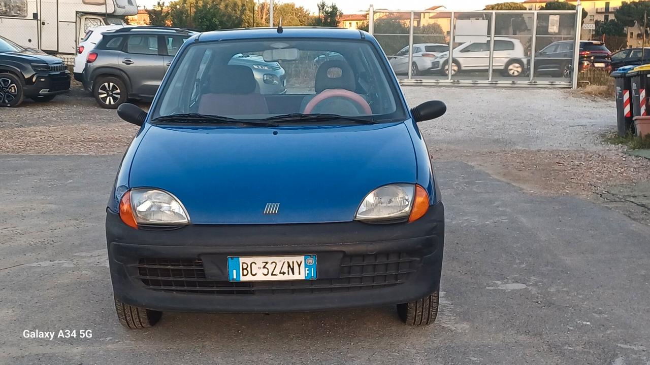 Fiat Seicento 900i cat Young