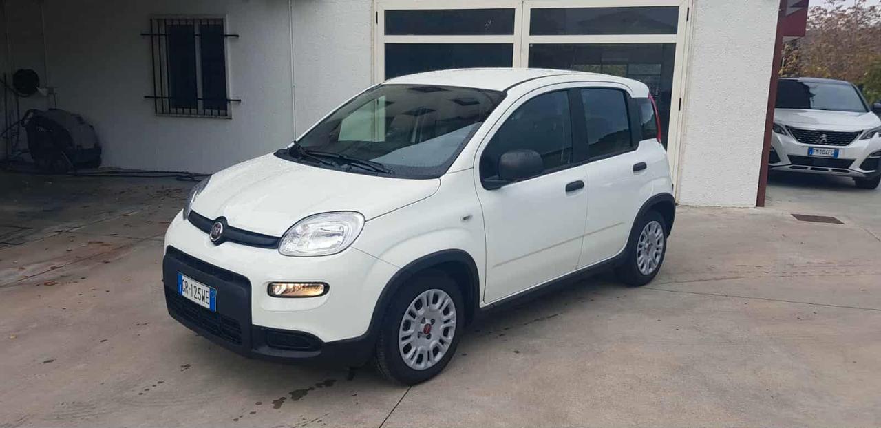 Fiat Panda 1.0 Hybrid 70cv