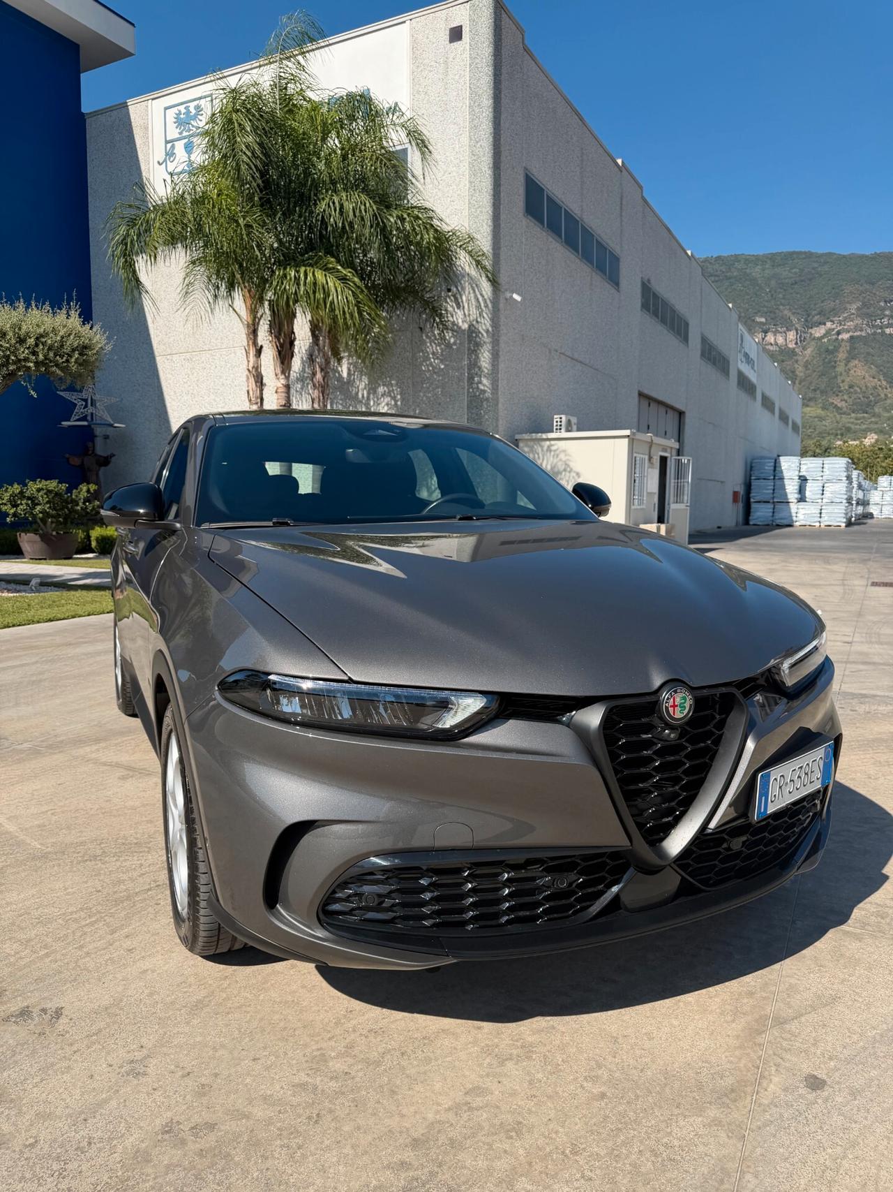 Alfa Romeo Tonale 1.6 diesel 130 CV TCT6 Sprint