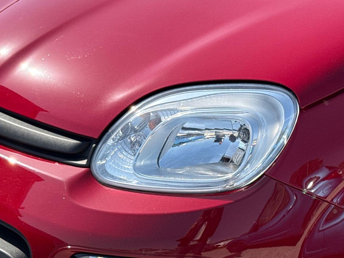 FIAT Panda III 2021 - Panda 1.0 firefly hybrid s&s 70cv