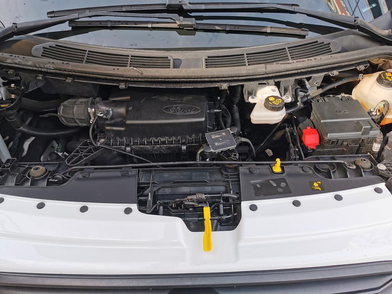 Ford Transit Custom 320 2.0 EcoBlue 130cv PC Combi Trend