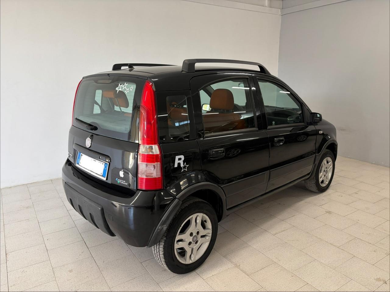 Fiat Panda 1.2 Climbing Natural Power