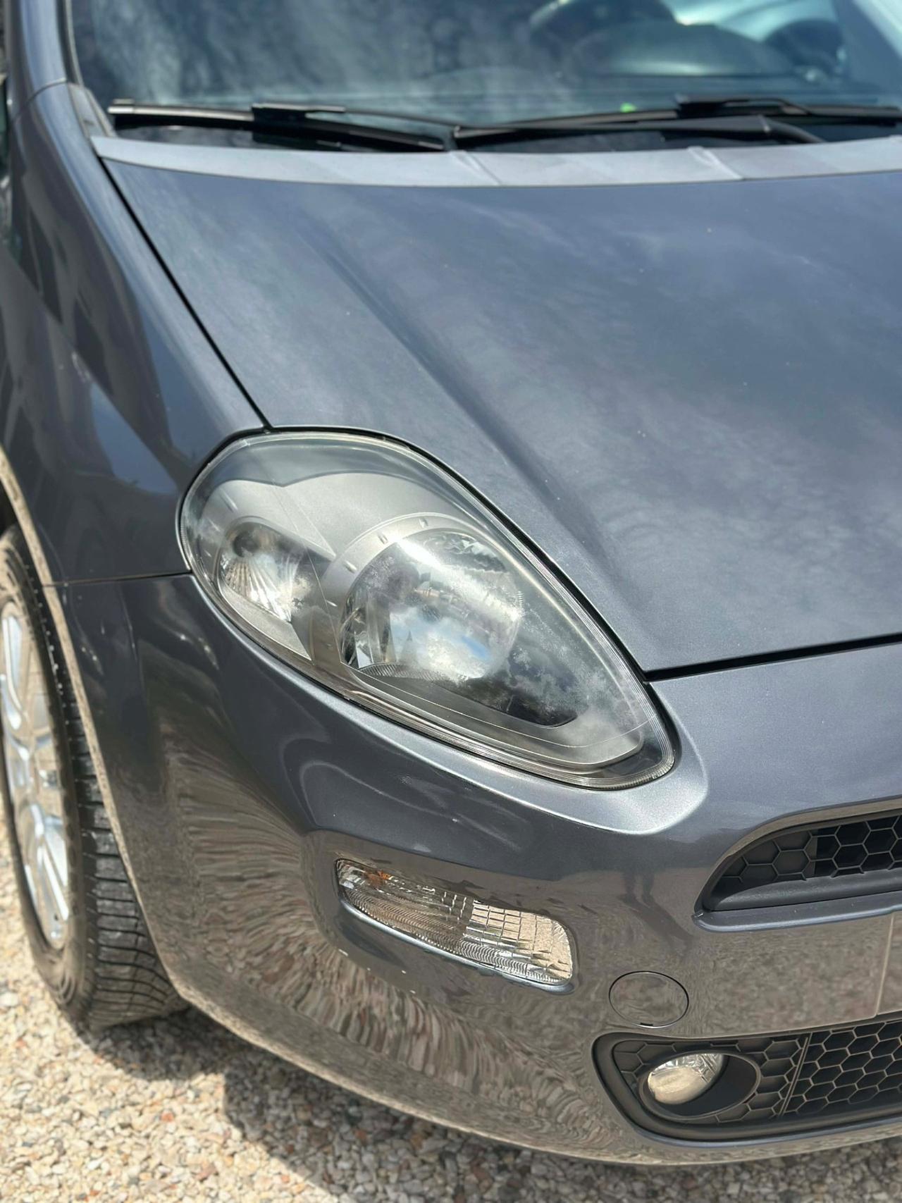 Fiat PUNTO 1.2 STREET KMCERT NEOPAT PERFETTA