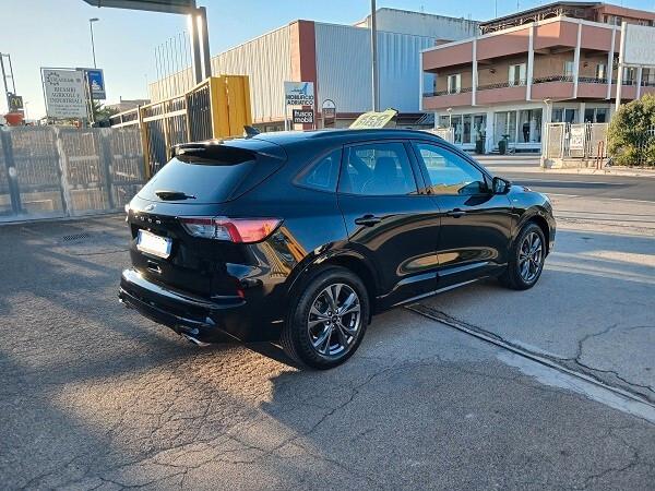 FORD KUGA 1.5 Eco BLUE 120 CV ST LINE AUTOMATICO