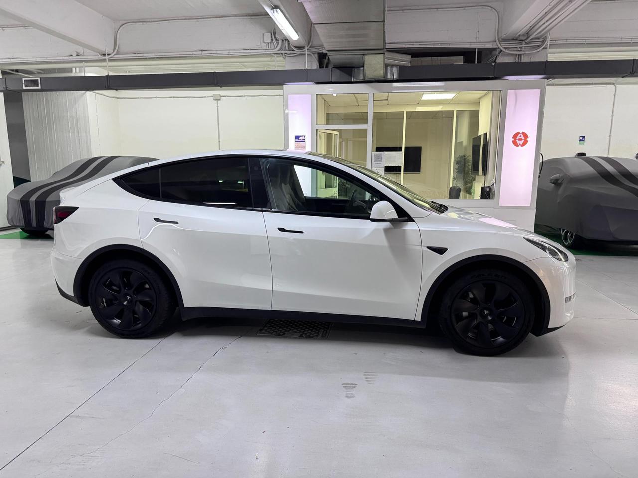 Tesla Model Y Long Range Dual Motor awd