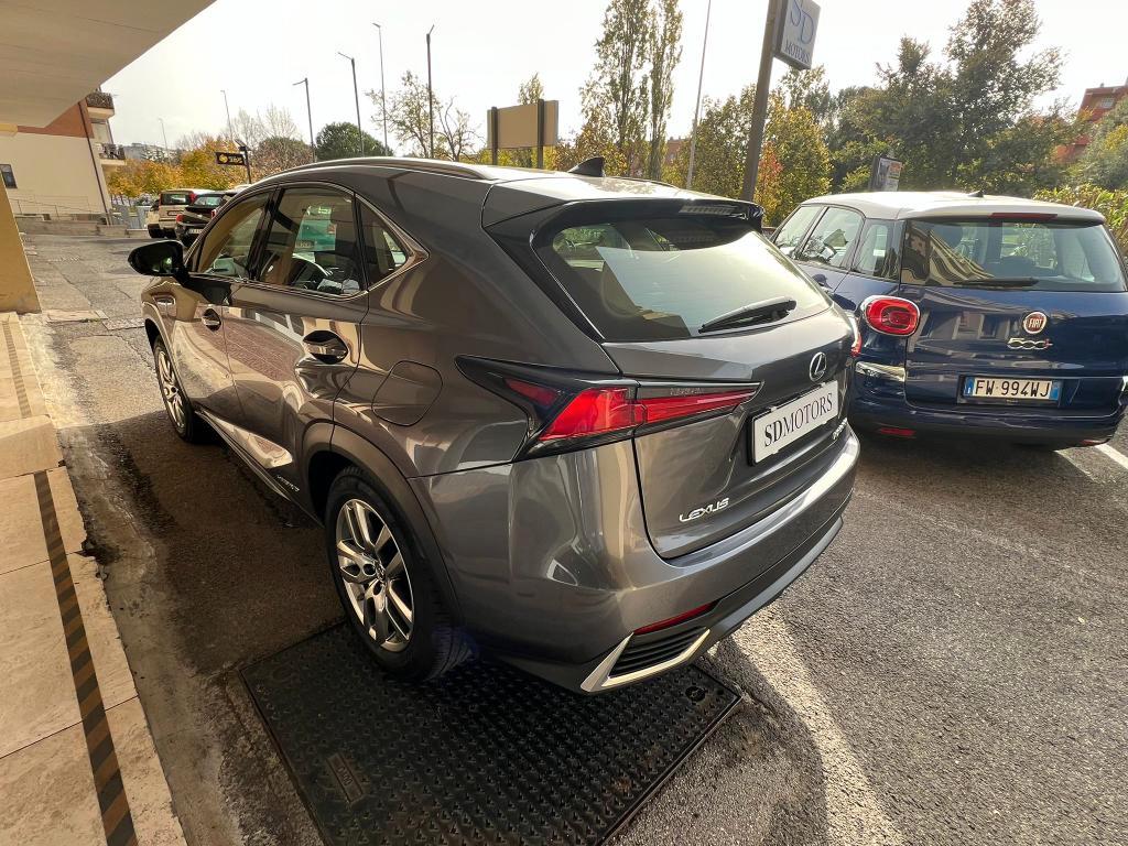 Lexus NX 300h 2.5 Business 4wd cvt