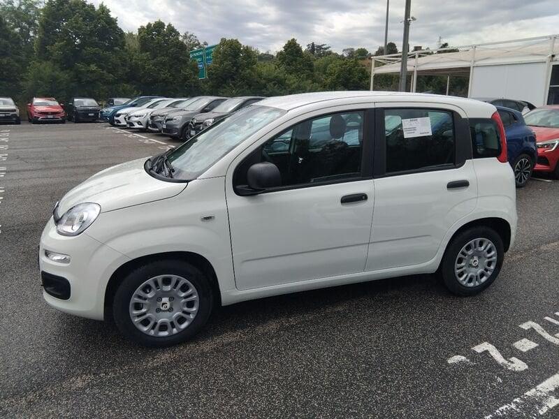 FIAT Panda New 1.0 70cv Hybrid Panda