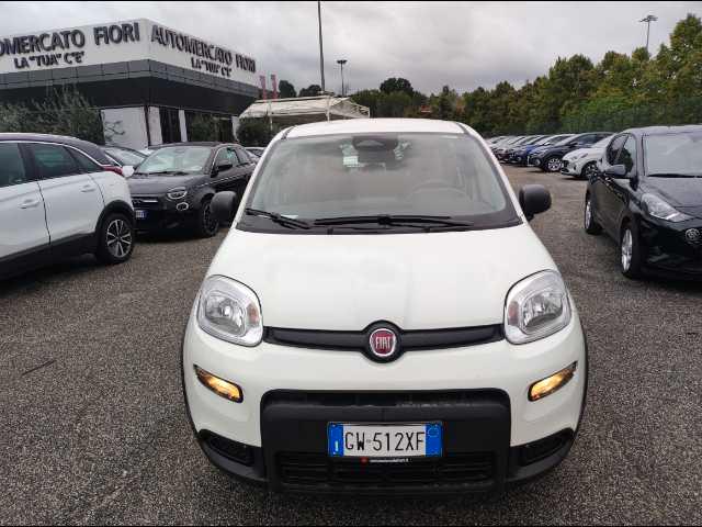 FIAT Panda 1.0 firefly hybrid s&s 70cv 5p.ti