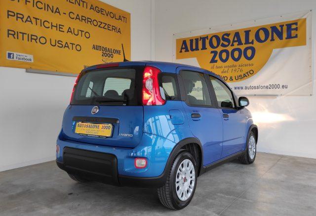 FIAT Panda 1.0 FireFly S&S Hybrid PREZZO REALE / NEOPATENTATI