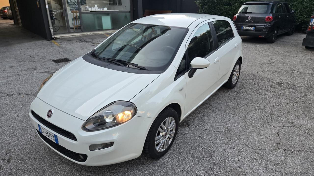 Fiat Punto 1.2 8V 5 porte Street Ok Neopatentati