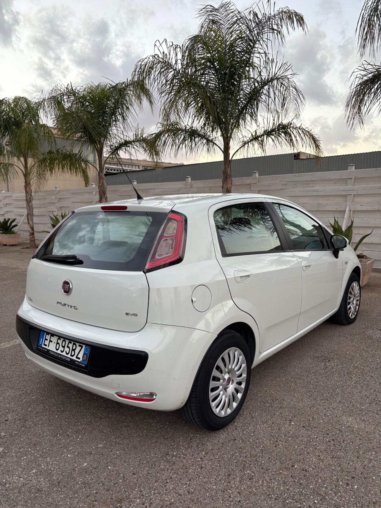 Fiat Punto Evo 1.3 Mjt tagliando eseguito 5 porte in eccellenti condizioni