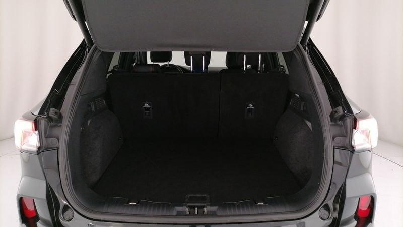 Ford Kuga 1.5 ecoblue ST-Line X 2wd 120cv auto