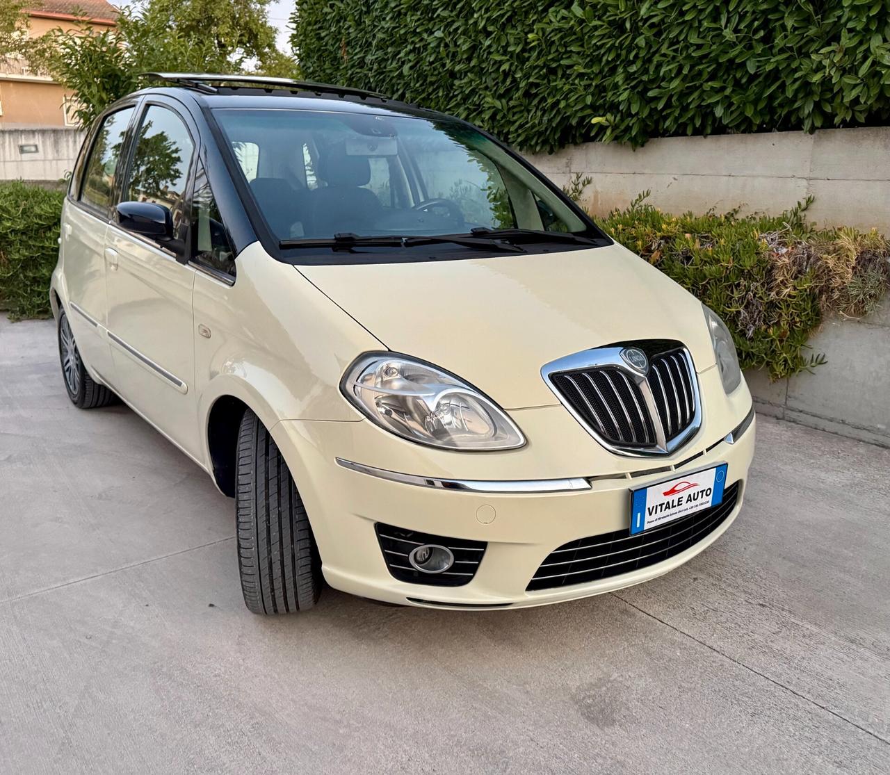 Lancia MUSA 1.3 Multijet 16V 90 CV Platino (Tetto)