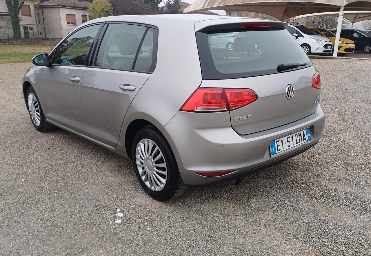Volkswagen Golf 1.6 TDI 5p. Highline BlueMotion Technology