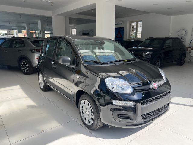 FIAT Panda 1.0 FireFly S&S Hybrid Icon tua da ?149,,00