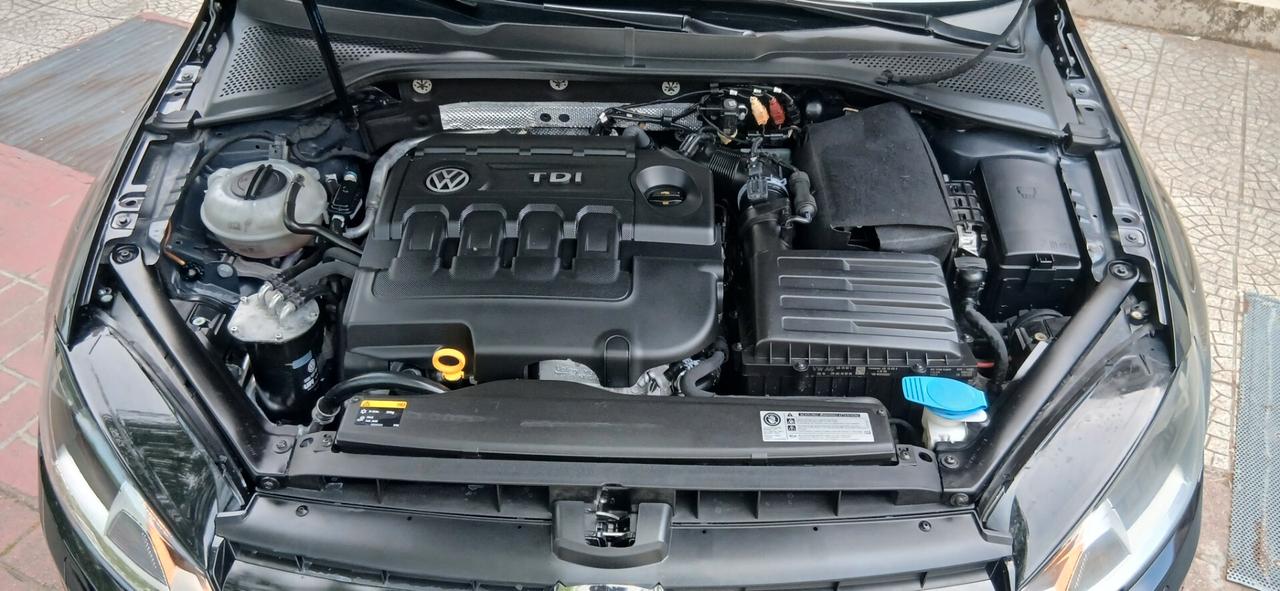 Volkswagen Golf 1.6 TDI 110 CV 5p. HIGHLINE VERSIONE CUP