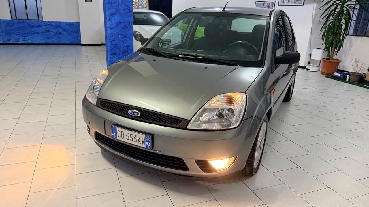 Ford Fiesta NEOPATENTATI