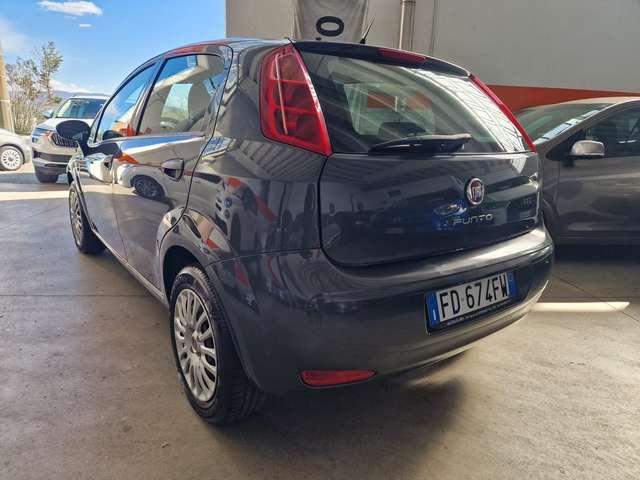 Fiat Punto Punto 5p 1.2 Young