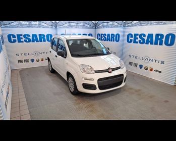 FIAT Panda 1.0 firefly hybrid Icon s&s 70cv 5p.ti