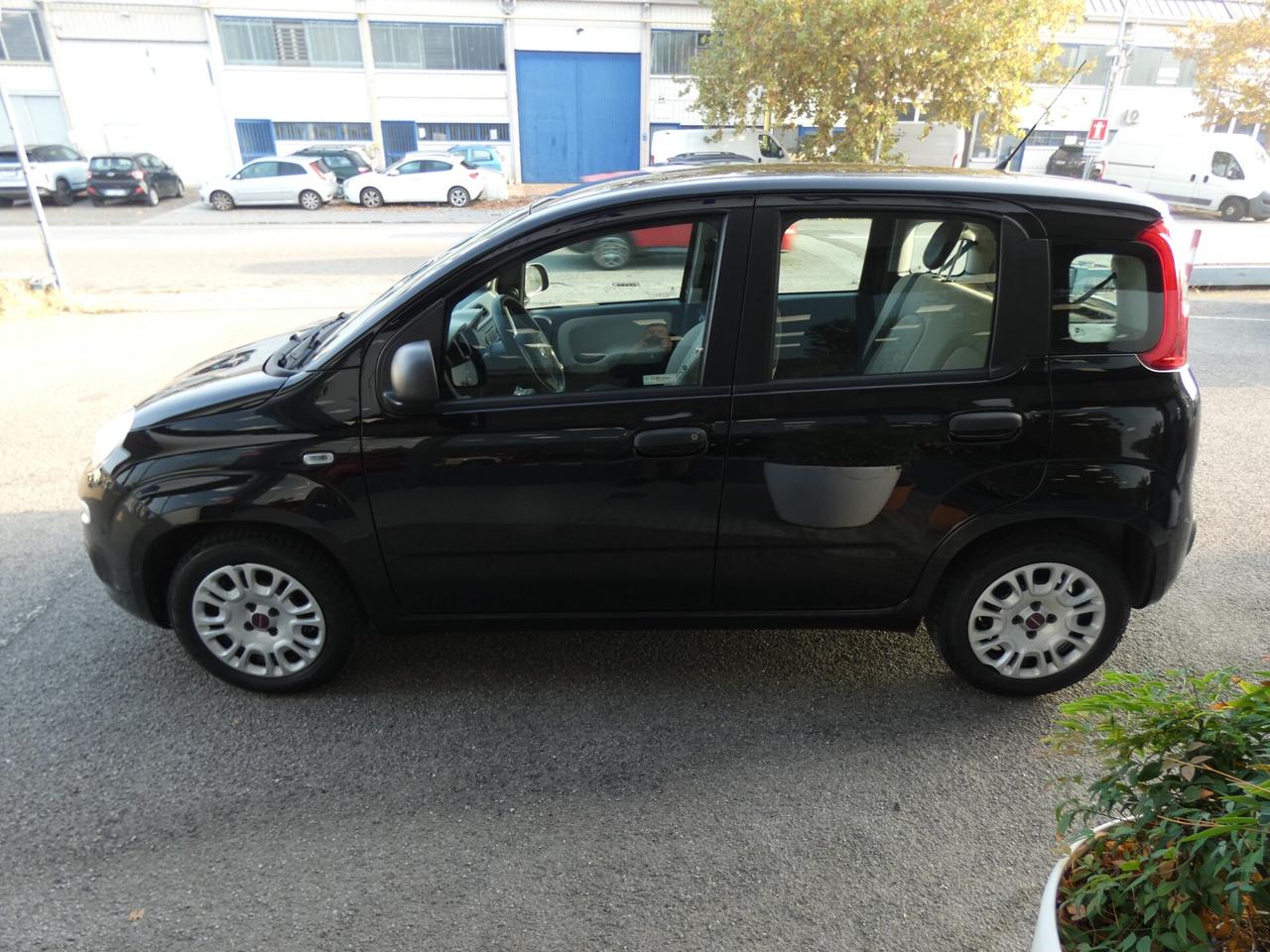 FIAT Panda 3ª serie Panda 1.2 Easy