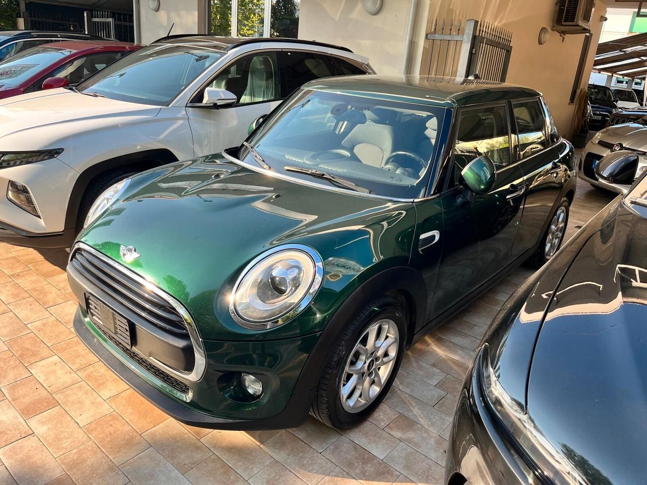 Mini Mini 1.5 One D Hype