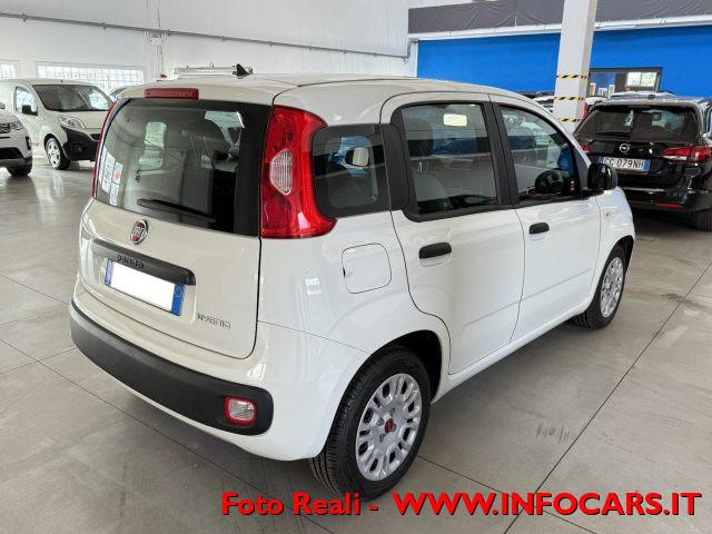 FIAT Panda Hybrid 1.0 FireFly 70 cv Neopatentati - PROMO